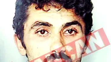 Mailat pledeaza vinovat pentru furt