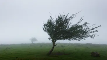 Cod Galben de vreme rea. 11 județe sunt vizate 