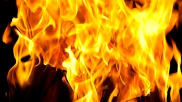 DEZASTRU LA MUNTE! Sapte vile au luat foc!