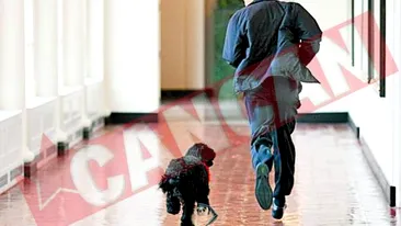 Bo il musca pe Obama de degete