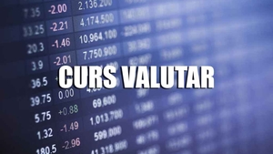 Curs valutar 8 februarie 2019. Cat a ajuns sa coste vineri 1 EURO si 1 DOLAR