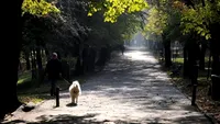 METEO 13 NOIEMBRIE! Cum va fi vremea in Bucuresti si in alte zone din tara!