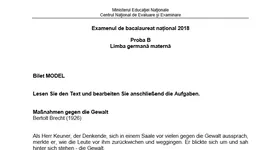 Galerie foto - poza 2