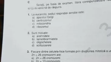 Bacalaureat 2022 | Rezolvarea subiectelor la biologie, a treia probă de la BAC