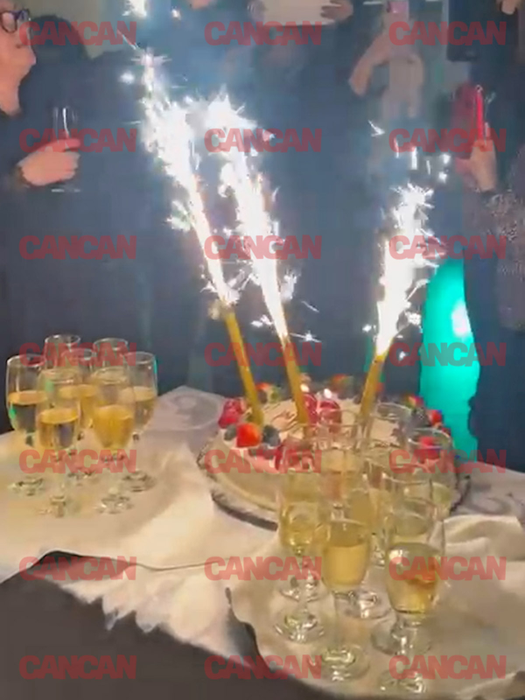 Irina Loghin și-a serbat ziua de naștere cu mare fast
