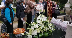 Galerie foto - poza 3