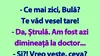 BANC | Bulă, doctorul și paharul de vin