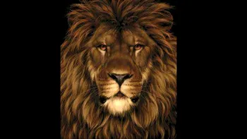 Test IQ exclusiv pentru genii | În această poză apare un leu, dar nu doar atât. Găsiți șobolanul ascuns!