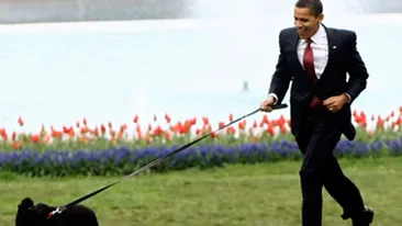 Barack Obama strange fecalele cainelui sau, cand il plimba prin gradina Casei Albe