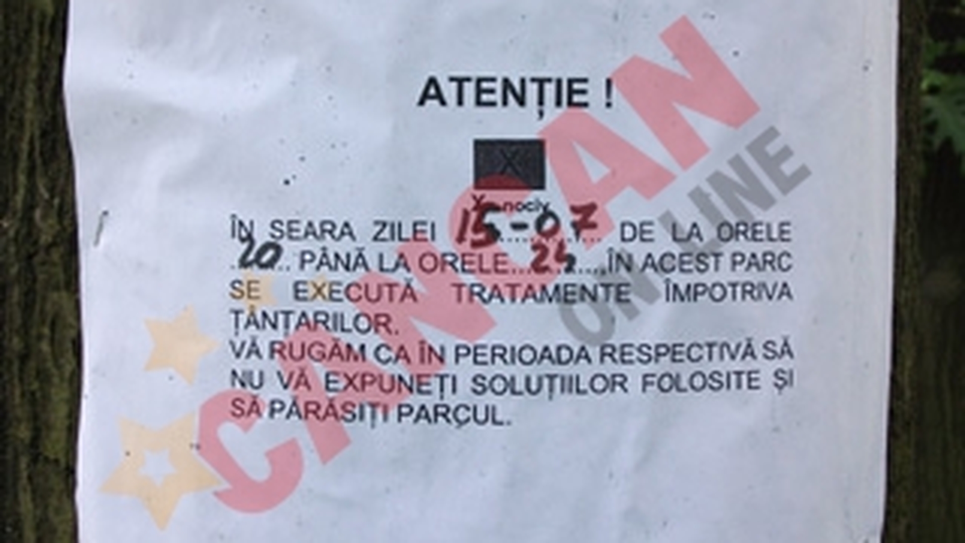 Tantarul-tigru ataca Romania