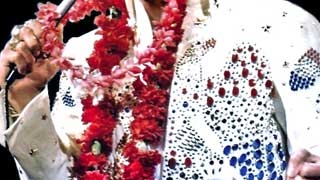 Concert dedicat lui Elvis Presley in Parcul National