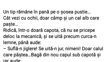 Bancul sfârșitului de săptămână | Tipul rămas în pană și calul vorbitor