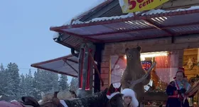 Galerie foto - poza 4