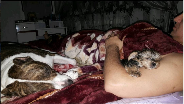 Edy Power e un mare iubitor de animale