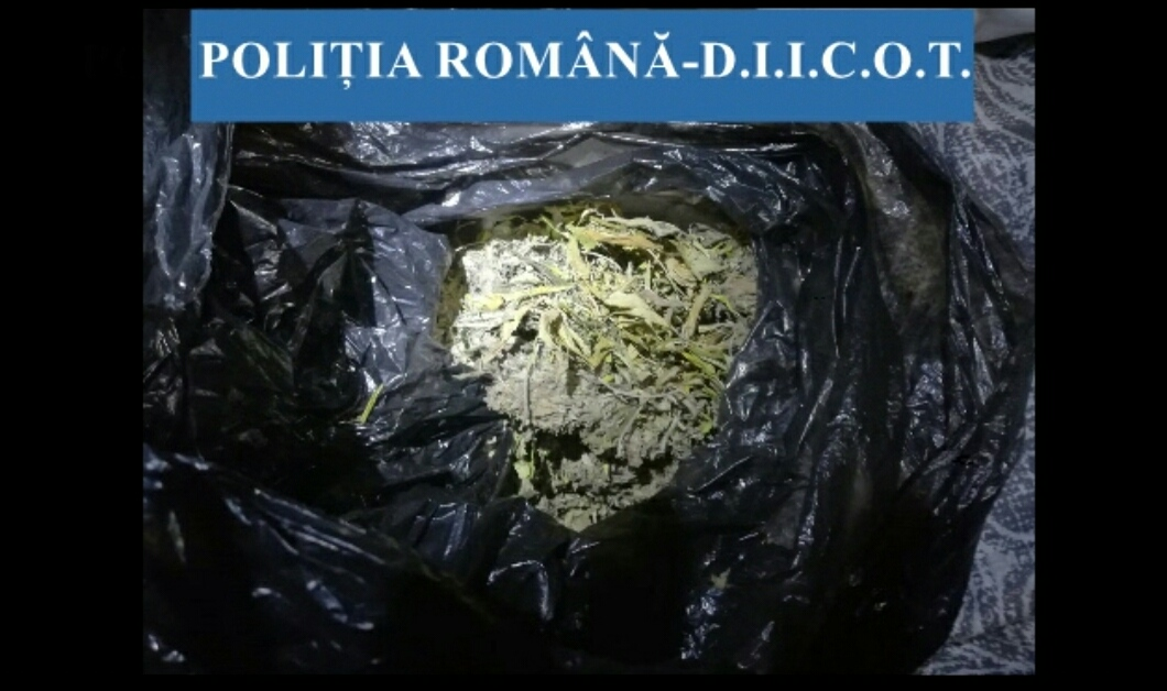 Rețea uriașă de trafic de droguri, destructurată în Dâmbovița: 74 de persoane, luate la audieri