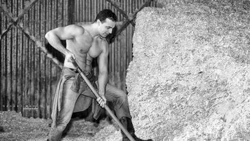 Ce decizie neasteptata a luat cel de-al doilea castigator de la “Vrei sa fii miliardar?”! Oltin Hurezeanu renunta la tot si…