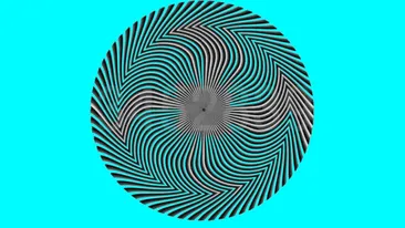 Iluzie optică virală | Doar 3 din 100 de oameni văd numărul ascuns în această fotografie