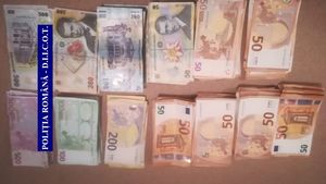 Captură uriașă la Călărași și Constanța: cannabis, arme și muniție și zeci de mii de euro! FOTO