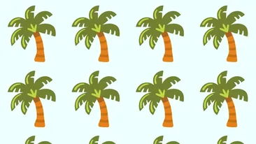 Test de logică | În această imagine apar 20 de palmieri, însă unul singur este diferit de ceilalți. Care?