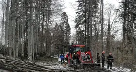 Galerie foto - poza 2