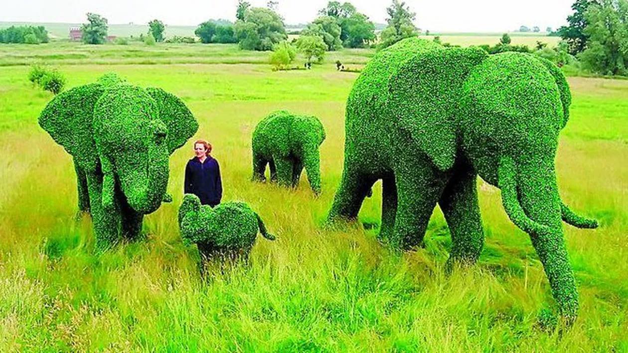 Ce sculpturi face din iarba!