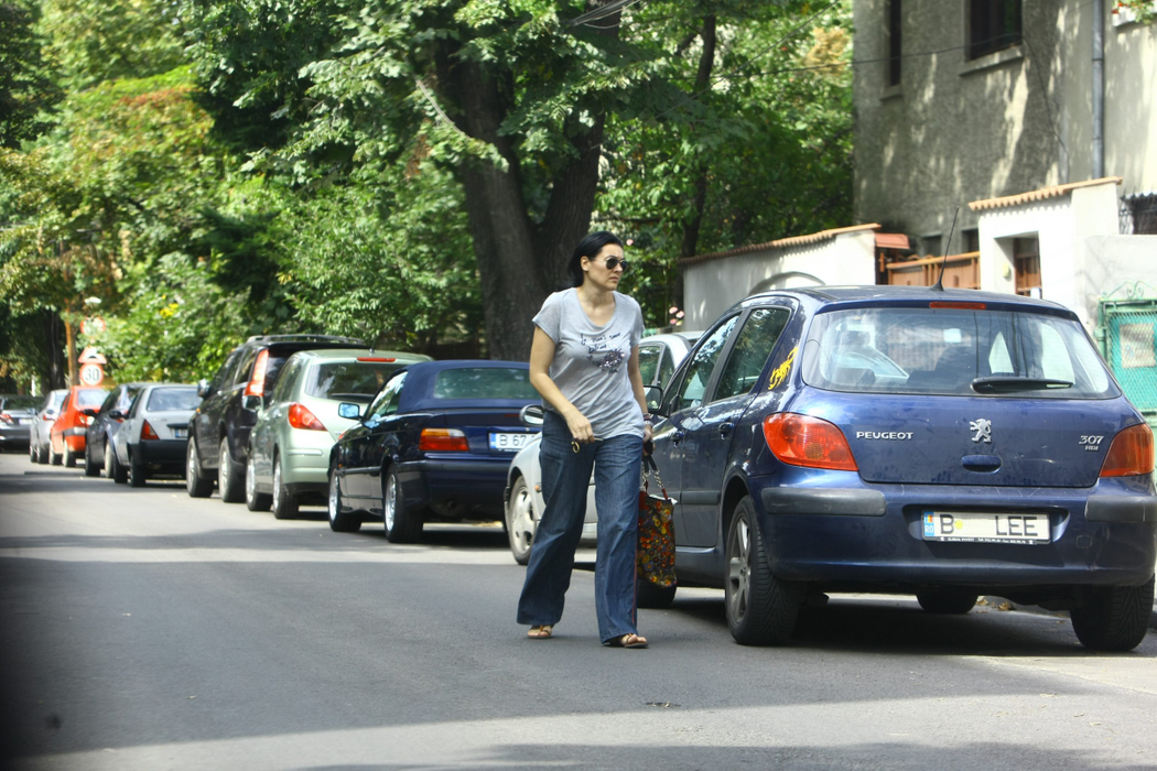 Camelia Constantinescu nu are noroc la bani