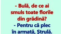 BANC | Bulă, de ce ai smuls toate florile din grădină?