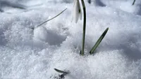 Val de aer polar peste România! Temperaturi extrem de scăzute în primele zile de primăvară