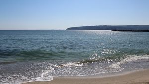 OMS avertizează! Un virus periculos a fost descoperit în Marea Neagră