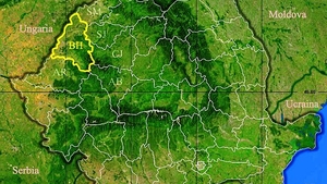 Rezultate Evaluarea Națională 2019 (Capacitate) Bihor