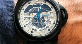 Galerie foto - poza 3