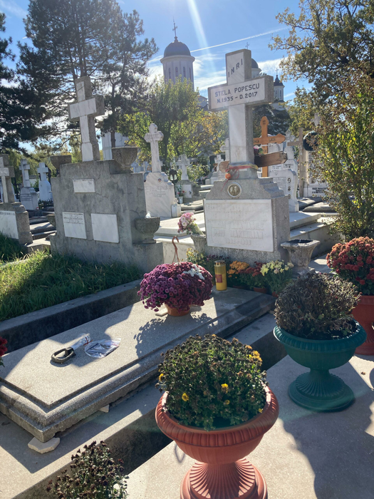 Doina Maximilian are grijă de mormântul mamei / (Sursa: CANCAN.RO)