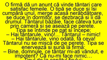 BANC | O firmă dă anunț că vinde țânțari care satisfac femeile
