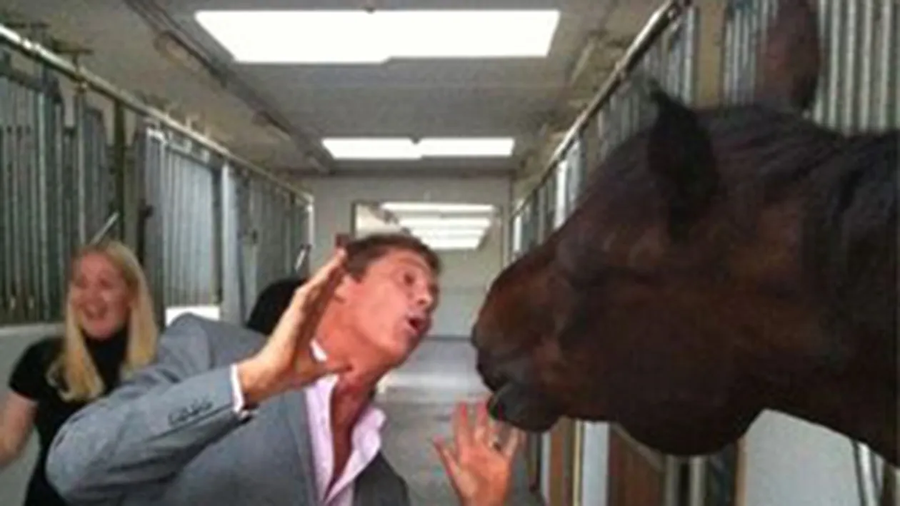 David Hasselhoff a ajuns rau