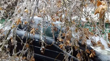 Imaginile lunii ianuarie, în București! Iarna a făcut ravagii! Pietonii, risc maxim... Ce s-a întâmplat cu tramvaiele VIDEO + FOTO