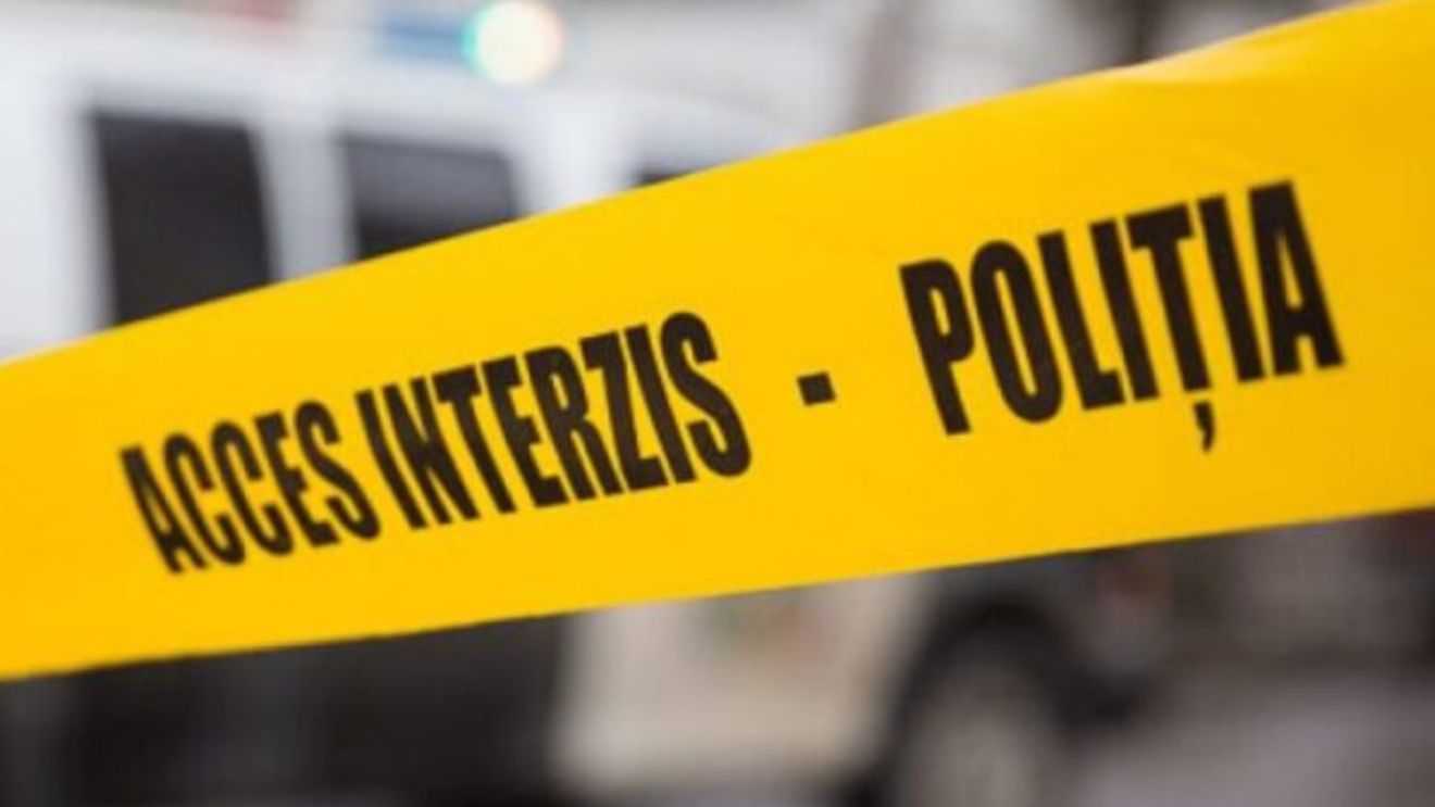 Scenă macabră la Cluj! Descoperirea făcută de un vecin într-o curte a tulburat întreaga comunitate