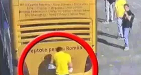 Galerie foto - poza 3