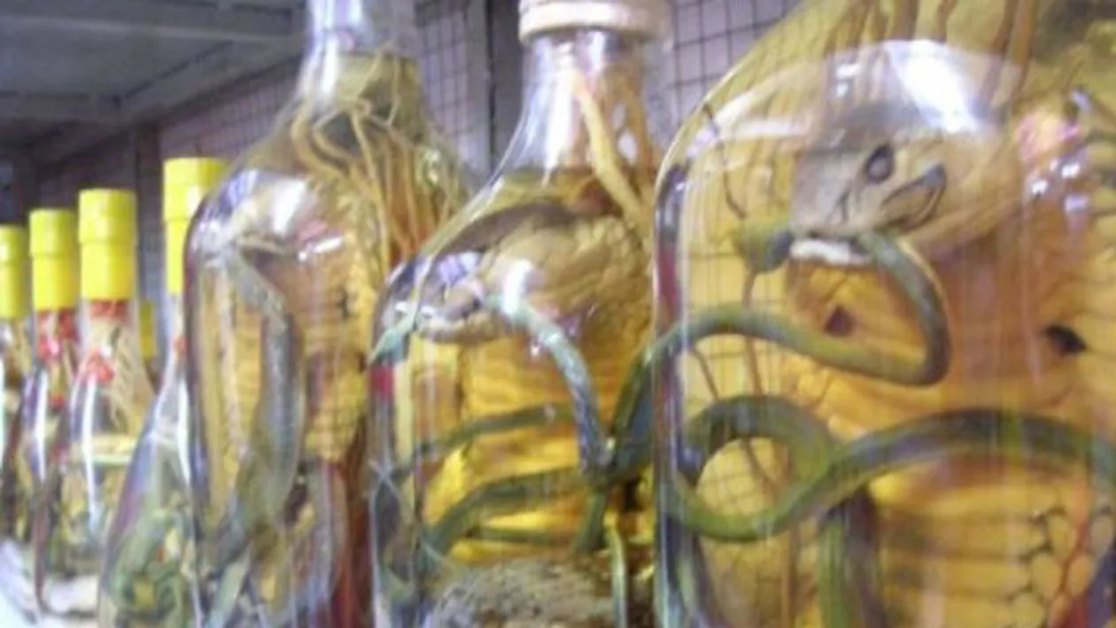 INCREDIBIL! O femeie a fost muscata de un sarpe pastrat in alcool timp de 3 luni! Vezi cum a fost posibil acest lucru