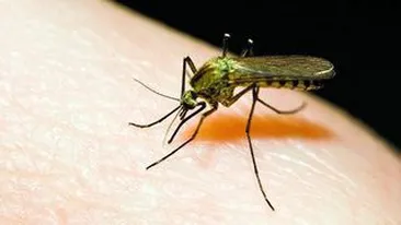 Tantarii au omorat doi romani