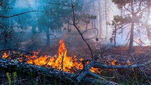 Avertizare de la MAE pentru turiștii care pleacă în Grecia! Risc mare de incendiu! Care sunt zonele
