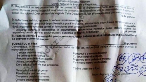 Subiecte Limba și literatura română, BAC 2019. Ce ar putea pica în acest an