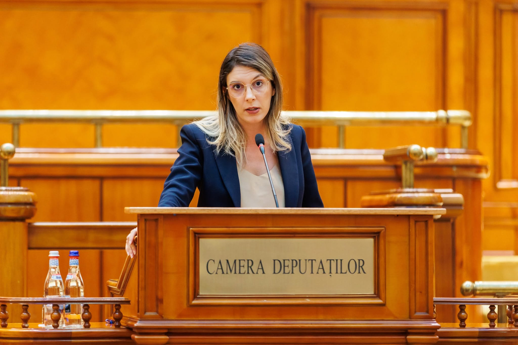 Ce a făcut Diana Buzoianu cu pisica devenită populară. Ce decizie a luat după ce s-a schimbat Guvernul