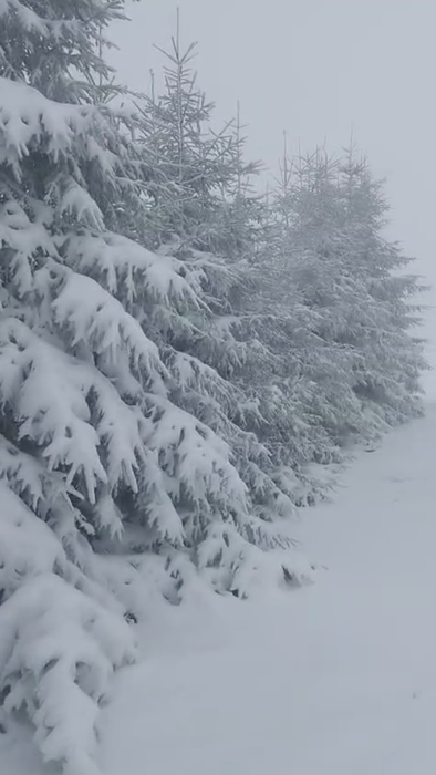 Suceava, Giumalău || Rarău. Sursă: Facebook Meteoplus