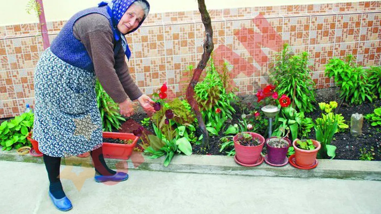 Ma tem pentru viata lui Mile