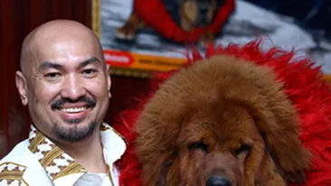 Are cea mai scumpa haita de caini