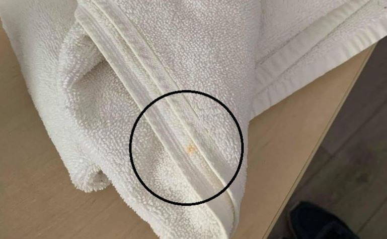 Un hotel din Mamaia i-a îngrozit pe turiști. Ce a putut să găsească o persoană în camera pentru care a plătit 100 de euro
