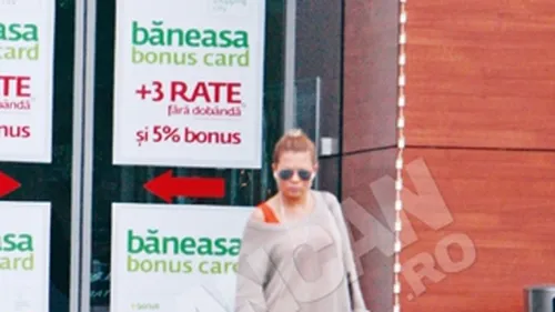 Gina Pistol  are preocupari de gospodina