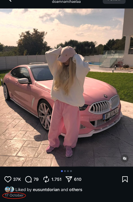Doamna Mihaela. sursă - social media