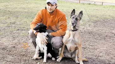 Patrupede de pe plaiuri mioritice, vedete peste Ocean!  Romanul care antreneaza caini pentru Hollywood