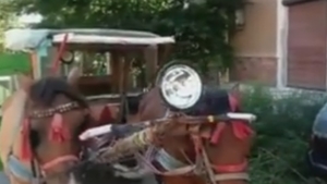 El este cel mai inventiv bătrânel din Galaţi! Uite cum şi-a transformat căruţa în maşină:”Am semnalizare, chiar şi muzică…“